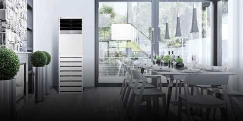 LG Floor Standing Unit